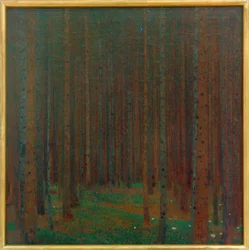 Foresta di abeti I