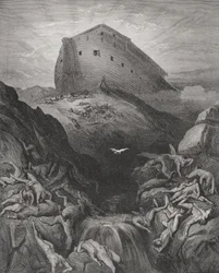 La colomba mandata via dall
