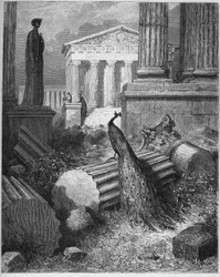 Il pavone si lamenta con Giunone - dalle «Favole» di Jean de La Fontaine (Lafontaine) (1621-95) - incisione da Gustave Doré (1832-83) - collezione privata