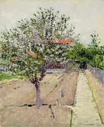 Melo in fiore, ca. 1885