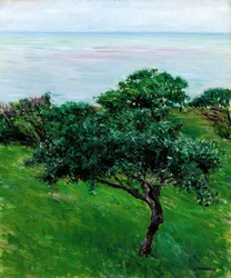 Meli sul Mare, Trouville