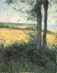 Vicino al mare, Normandia, 1884