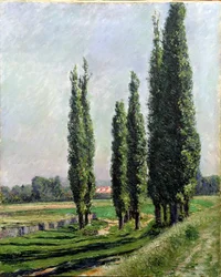 Pioppi sulla riva del fiume ad Argenteuil