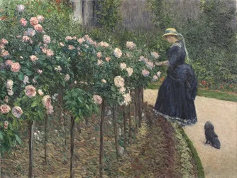 Rose, Giardino a Petit Gennevilliers