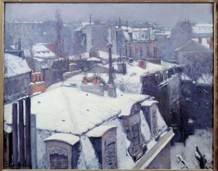 Veduta dei tetti (effetto neve) a Parigi