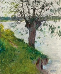 Salice sul fiume; Saule au bord de la rivière, c. 1891