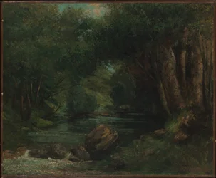 Un ruscello nella foresta