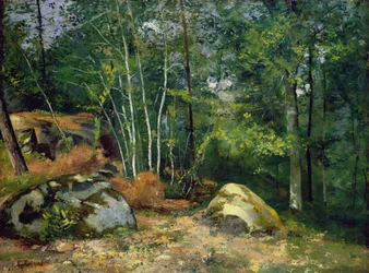 Angolo di Foresta