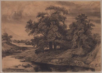 Paesaggio con grandi alberi