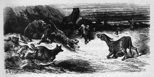 Gli animali malati di peste. Favole di Jean de La Fontaine (1621-95). Illustrazione di Gustave Doré