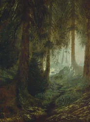 Cervi in un paesaggio forestale