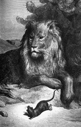 Favola di La Fontaine: Il leone e il topo di Gustave Doré. XIX secolo