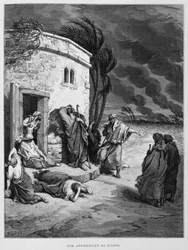 Giobbe comprende la sua rovina, Illustrazione dalla Bibbia di Doré