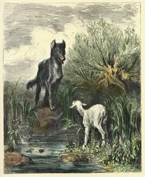 Il lupo e l