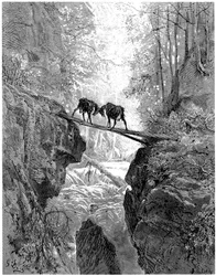 Le due capre: favola di Jean de La Fontaine illustrata da Gustave Doré - foresta, ruscello