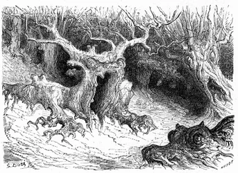 Faggio mostruoso nella Valle di Ossau, alberi mostruosi antropomorfi. Incisione di Gustave Doré che illustra il libro 