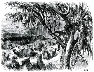 Sindbad il marinaio - racconto delle mille e una notte - illustrazione di Gustave Doré - edizione Maxwell 1865 - Settimo viaggio: Sindbad, appollaiato su un albero, tira con il suo arco sugli elefanti