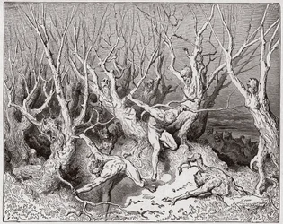 La Divina Commedia (La Divina Commedia, La Divine Comédie), Inferno, Canto 13: I suicidi fuggono dalla foresta - di Dante Alighieri (1265-1321) - Illustrazione di Gustave Doré (1832-1883)