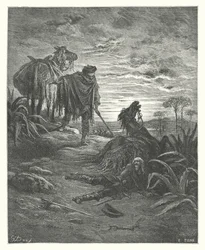 Le Favole di La Fontaine: I Due Muli