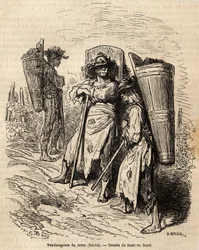 I raccoglitori di Xeres. Disegno di Gustave Doré, per illustrare il suo viaggio in Spagna nel 1862, con Ch. Davillier. Incisione in "Le tour du monde", edito da Edouard Charton