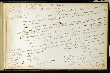 Folio 41 del quaderno n. 19 Pagina manoscritta delle bozze di Gustave Flaubert. Piani per Bouvard e Pecuchet. BHVP