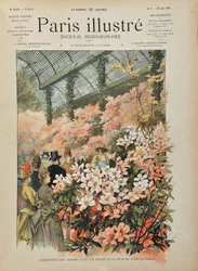 Esposizione di azalee nelle serre della città di Parigi (Serres d