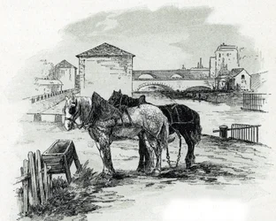 Cavalli da traino, quai de la Gironde, Villette Disegno di Gustave Fraipont (1849-1923) da Saint-Juirs