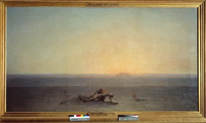 Il Sahara significa anche deserto