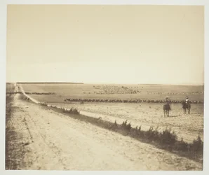 Manovre, Camp de Châlons