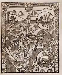 Calendario del pastore - I lavori dei mesi - Luglio - Xilografia dal libro del 1496 stampato da Guy Marchant (Guido Mercator) a Troyes - Fieno, la raccolta del fieno - Incisione su legno in 