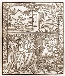 Calendario del pastore - I lavori dei mesi - Marzo - Xilografia dal libro del 1496 stampato da Guy Marchant (Guido Mercator) a Troyes - Incisione su legno in 