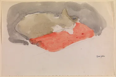 Gatto che dorme su un cuscino rosso