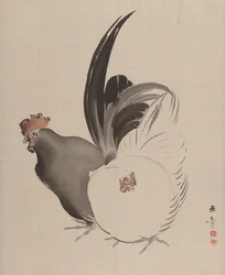 Gallo e gallina