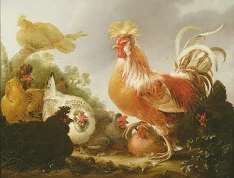 Gallo e galline in un paesaggio, 1649