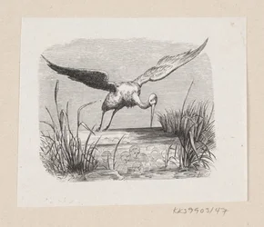Illustrazione per "Le cicogne" in H.C. Andersen, "Fiabe e storie", Volume 1