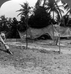 Pescatori che asciugano le reti sulla spiaggia, Basseterre, St Christopher, Indie Occidentali