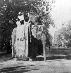 Un elefante fuori dalla stazione ferroviaria a Delhi, India, 1900s