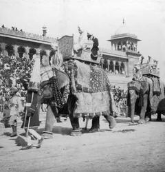 Processione di elefanti che passa davanti alla Moschea Jumma, Delhi, India, 1900