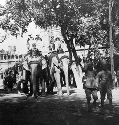 Staff vicereale e sua figlia partecipano alla processione degli elefanti, Delhi, India, 1900