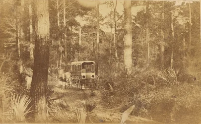 Scena a Folly Island