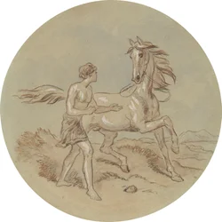Uno dei diciotto disegni per una serie di tavole che illustrano Venere e Adone