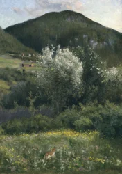 Ciliegia di uccello