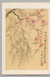 Fiori di pesco e salici, 1842