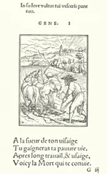 Il contadino