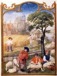 Lavoro nei campi, tosatura delle pecore e contadini che mietono il grano. Miniatura attribuita a Memling. Tavola tratta dal Breviario Grimani del XV secolo. Biblioteca Marciana, Venezia