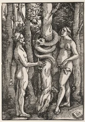 Adamo ed Eva, c. 1514