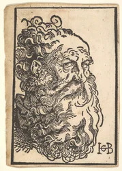 Testa di un uomo barbuto