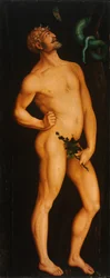 Adamo