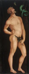 Adamo