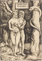 Adamo ed Eva, 1511